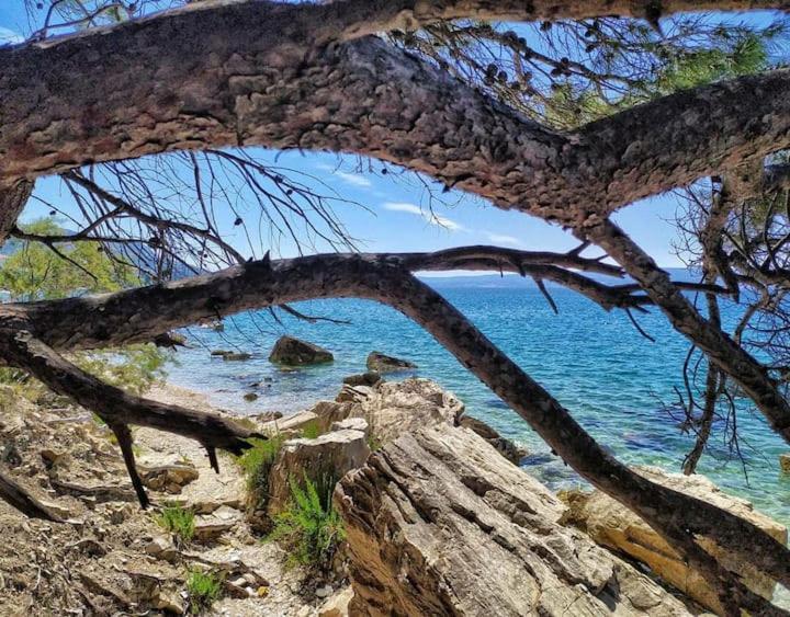 Apartmani Skejic Split Luaran gambar